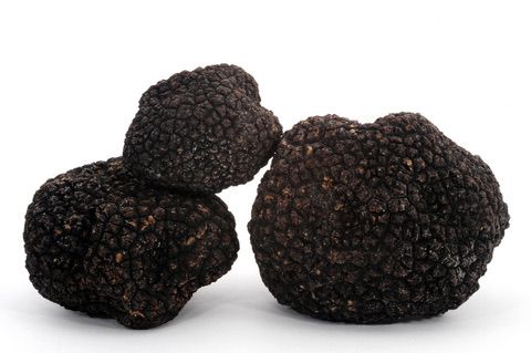 Burgundy truffle