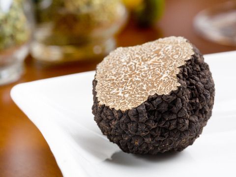 Summer truffle
