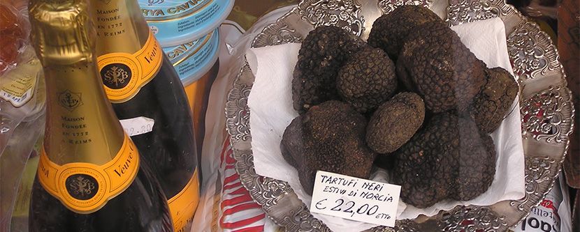 Cross-section of a black Périgord truffle