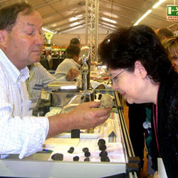 Truffle market in Alba